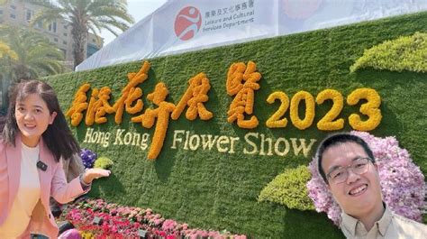 2023年香港花卉展开幕 40万株花卉维园绽放 新华网