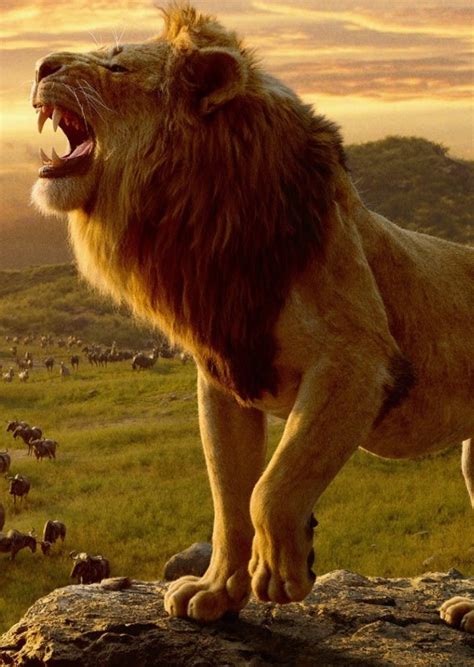 Fan Casting Djimon Hounsou as Scar in The Lion King (2019 Remake) on myCast