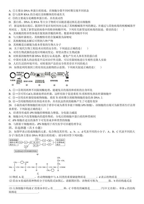 吉林省白城市第一中学2023 2024学年高二下学期6月月考试题 生物 （含解析）21世纪教育网 二一教育