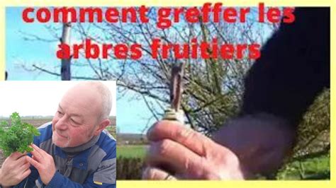 Début mars multiplier vos arbres fruitiers par le greffage YouTube