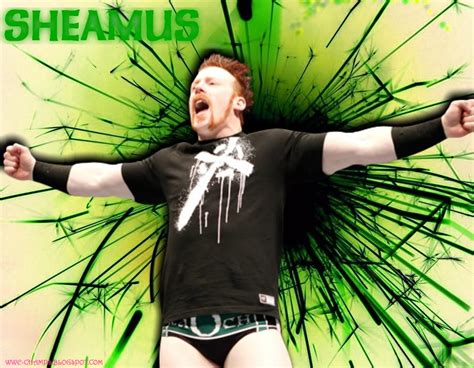 Wwe Champs The Celtic Warrior Sheamus