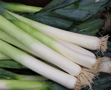 Harmony Valley Farm Vegetable Feature Leeks