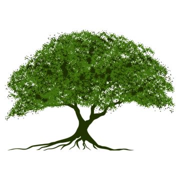 Oak Tree And Roots Logo With Text Space Oak Tree Logo Roots Png And