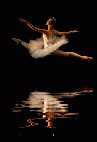 Ballerina GIF - Find & Share on GIPHY