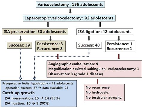 Figure 2 From Impact Of Internal Spermatic Artery Preservation During