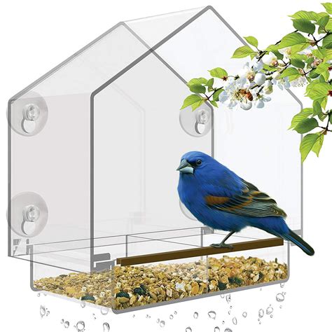 Top 10 Best Window Bird Feeders in 2019 | Buyer’s Guide