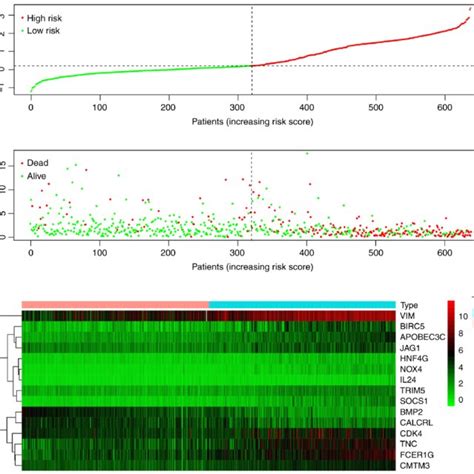 Construction Of The Irgs Prognostic Model A Rank And Group