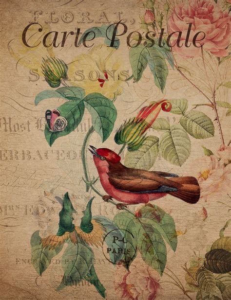 Bird Vintage Floral Postcard Free Stock Photo Public Domain Pictures