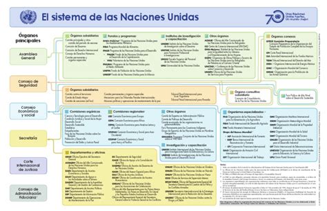 Organigrama De La Onu Pdf Naciones Unidas Política Internacional