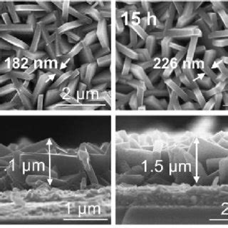 Top View And Cross Sectional Sem Images Of Tio Nanosheets Grown On