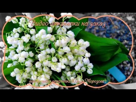 ВЕСЕННЕЕ НЕЖНОЕ ПОЗДРАВЛЕНИЕ С ДНЁМ РОЖДЕНИЯ!ЛАНДЫШИ ЛАНДЫШИ! - YouTube