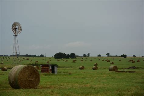 Texas Rural Land Value Trends Texas Agriculture Law