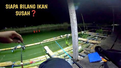 Ikan Full Makan Mancing Malam Hari Sendirian Di Lapak Karangkates