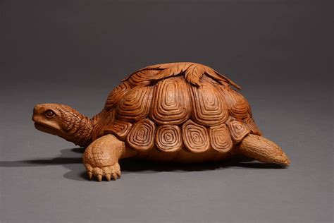 Turtle Wood Carving Pattern