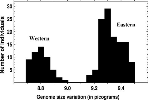 Distribution of genome size values in Pelobates fuscus fuscus in... | Download Scientific Diagram