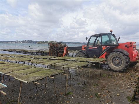 Ostr Iculteur Vente Au D Tail Coquillages Presqu Le Crozon