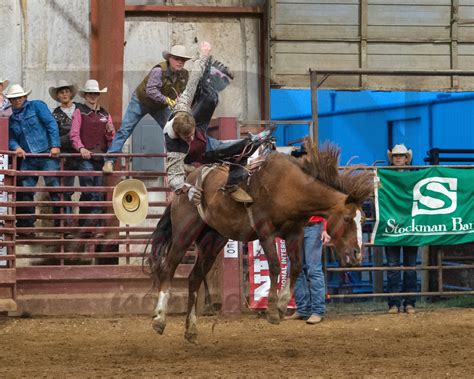 Havre Daily News - Home | Facebook