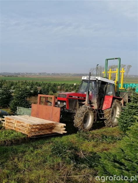 Fotografia Ci Gnik Zetor Galeria Rolnicza Agrofoto