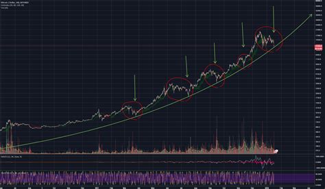 Bitcoin Log Chart History Repeats For Bitfinex Btcusd By Prizum — Tradingview