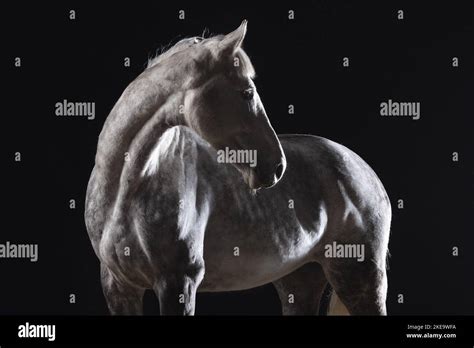 Polnische Frauen Fotos Und Bildmaterial In Hoher Aufl Sung Alamy