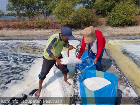 Produksi Garam Di Kabupaten Pasuruan Capai 8000 Ton Pasuruankab Go Id