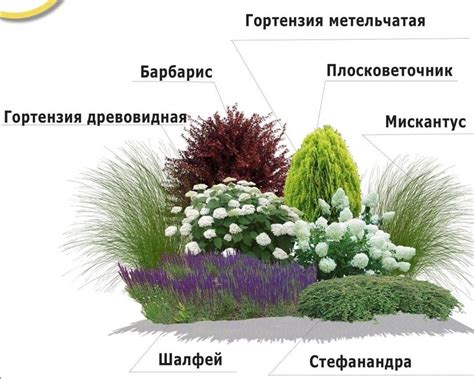 Pin di Татьяна su Дача | Bordure giardino fai da te, Aiuola, Aiuole