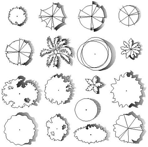 Autocad Tree Blocks Plan View Library Landscape Architecture Drawing Architecture Drawing