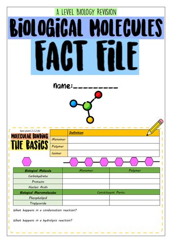 A Level Biology Biological Molecules Revision Booklet Teaching