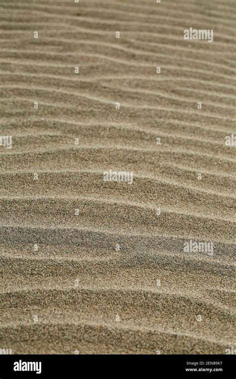 Patterns in the sand Stock Photo - Alamy