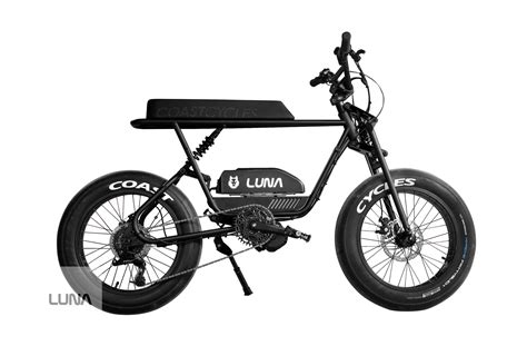 Luna Cycle Fast Ebikes And Electric Bike Kits