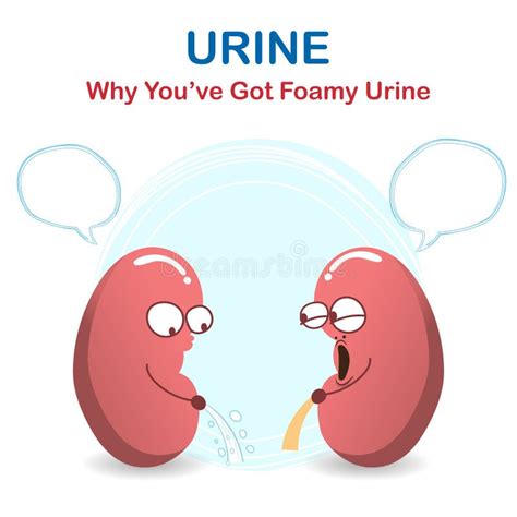 Sign and Symptom of Kidney Disease, Bad Health. Urine Has Many Foamy or ...