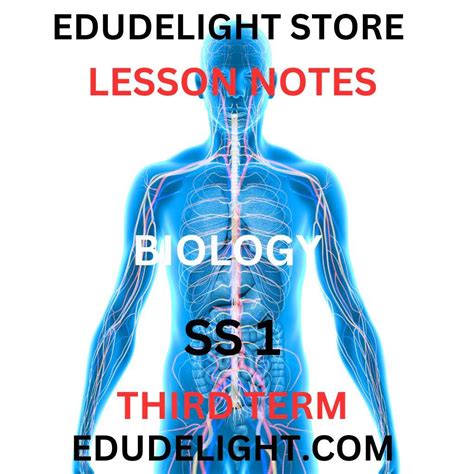 Biology Lesson Notes For Sss1 Third Term Edudelight Store