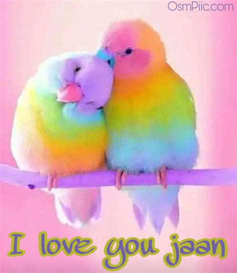 Top 50 I Love You Janu Status Images Pics With I Love You Jaan Photos