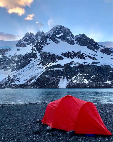 Kayaking & Camping in Kenai Fjords National Park — Sunny Cove - Kayaking, Hiking, Wildlife ...