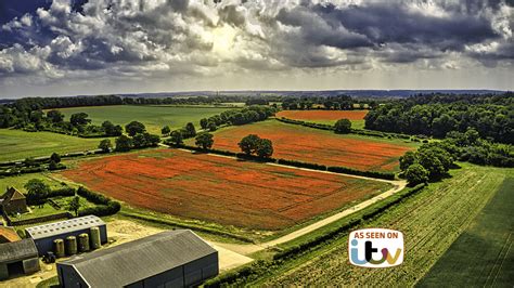 Heacham Poppy Fields Norfolk Norfolk Drone