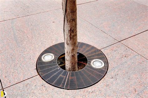 Discover The Hottest Modern Tree Grate Design Ideas Nature Inspired