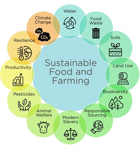 Sustainable Practices In Veal Production