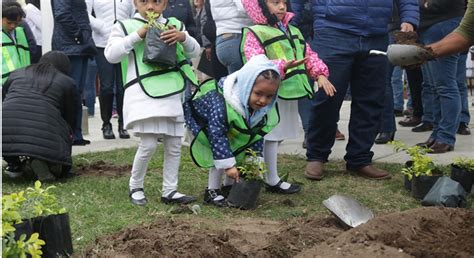 Promueve Gobierno De Altamira Cuidado Del Medio Ambiente El Gobierno