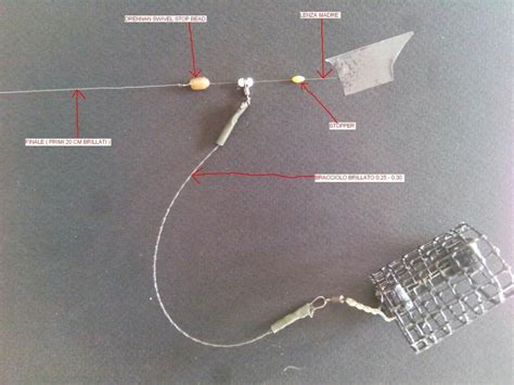 Carp Fishing Rigs, Fly Fishing, Red Roof House, Garden Fountains ...