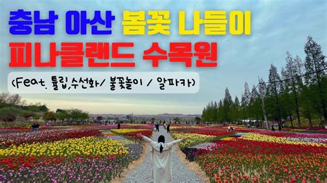 Eng 충남 가볼만한 곳 피나클랜드 수목원 봄축제 당일치기 주말나들이 Flowers Festival