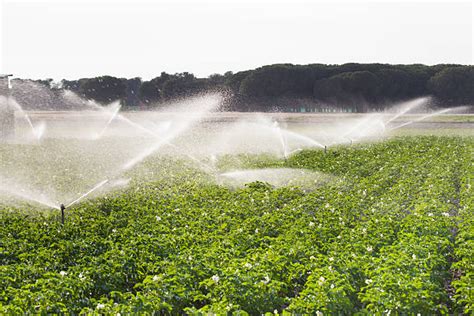 ¡nueva FormaciÓn Operaciones De Riego En Cultivos AgrÍcolas Agroislas