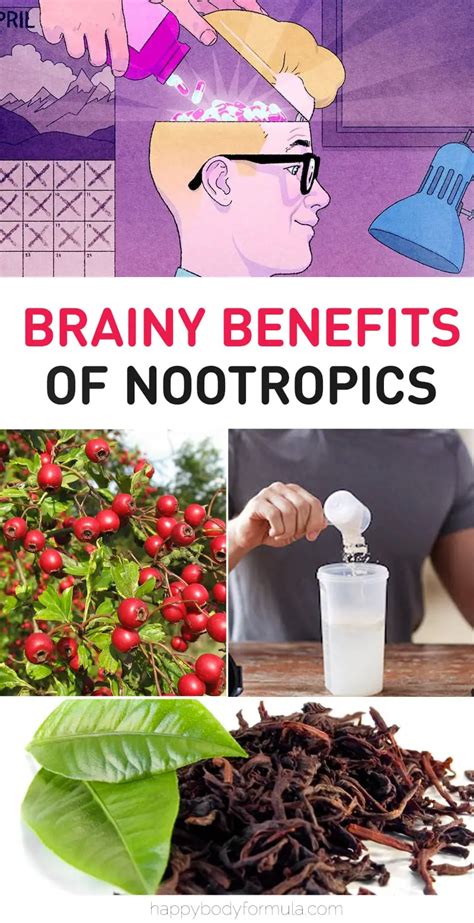 A Guide To Nootropics Biohacking The Brain Happy Body Formula