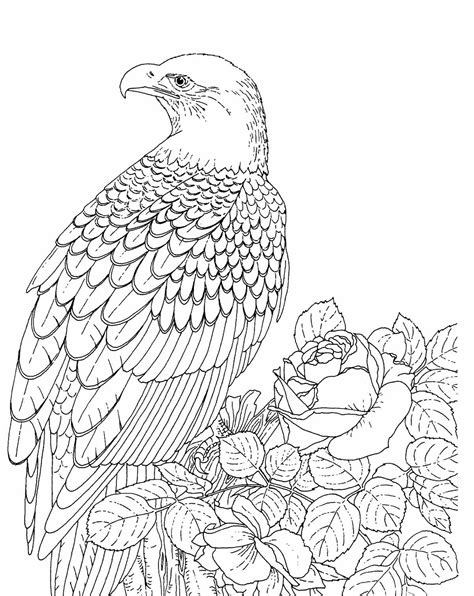 Free Printable Bald Eagle Coloring Pages For Kids