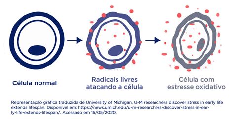 Estresse Oxidativo No Autismo Andreia Torres