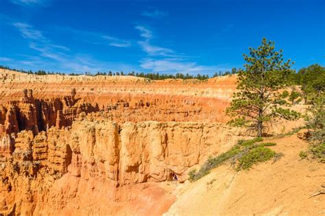 Sceniczny Widok Pi Kni Czerwieni Ska Y Hoodoos I Amfiteatr Od Zmierzchu