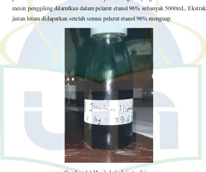 Uji Efektivitas Ekstrak Jintan Hitam Nigella Sativa Terhadap