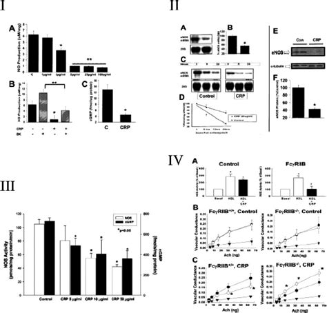 I A Crp Inhibits Basal No Production Rhcrp Causes A Marked Download Scientific Diagram