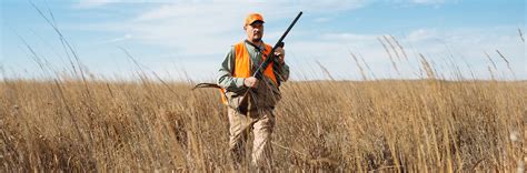 Pheasant Hunting Archives Colorado Outdoors Online