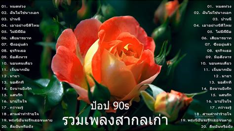 รวมเพลงสตริงเก่า เพื่อชีวิต เพลง 🌺 เพลงสตริงเก่า ย้ 🌺 นพเก้า รวมดาว