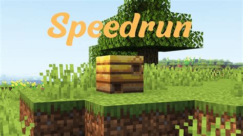 Minecraft Speedrun Break Beenest Ssg Youtube